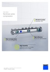 Flyer Herz Series: Nonlinear pulse compression